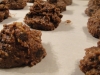 paleo-almond-chocolaty-chip-cookies-012