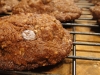 paleo-almond-chocolaty-chip-cookies-016