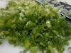 green-cabbage-and-apple-coleslaw-018