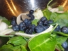 paleo-super-greens-blueberry-turkey-salad-011
