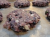 paleo-recipe-blueberry-fennel-burger-008
