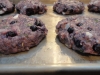 paleo-recipe-blueberry-fennel-burger-009