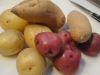 bone-marrow-mashed-potatoes-008