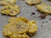 crispy-baked-smashed-plantains-020