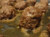 paleo-maple-basil-venison-meatballs-015