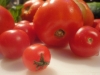tomato-and-cucumber-salad-009