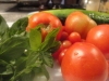 tomato-and-cucumber-salad-010