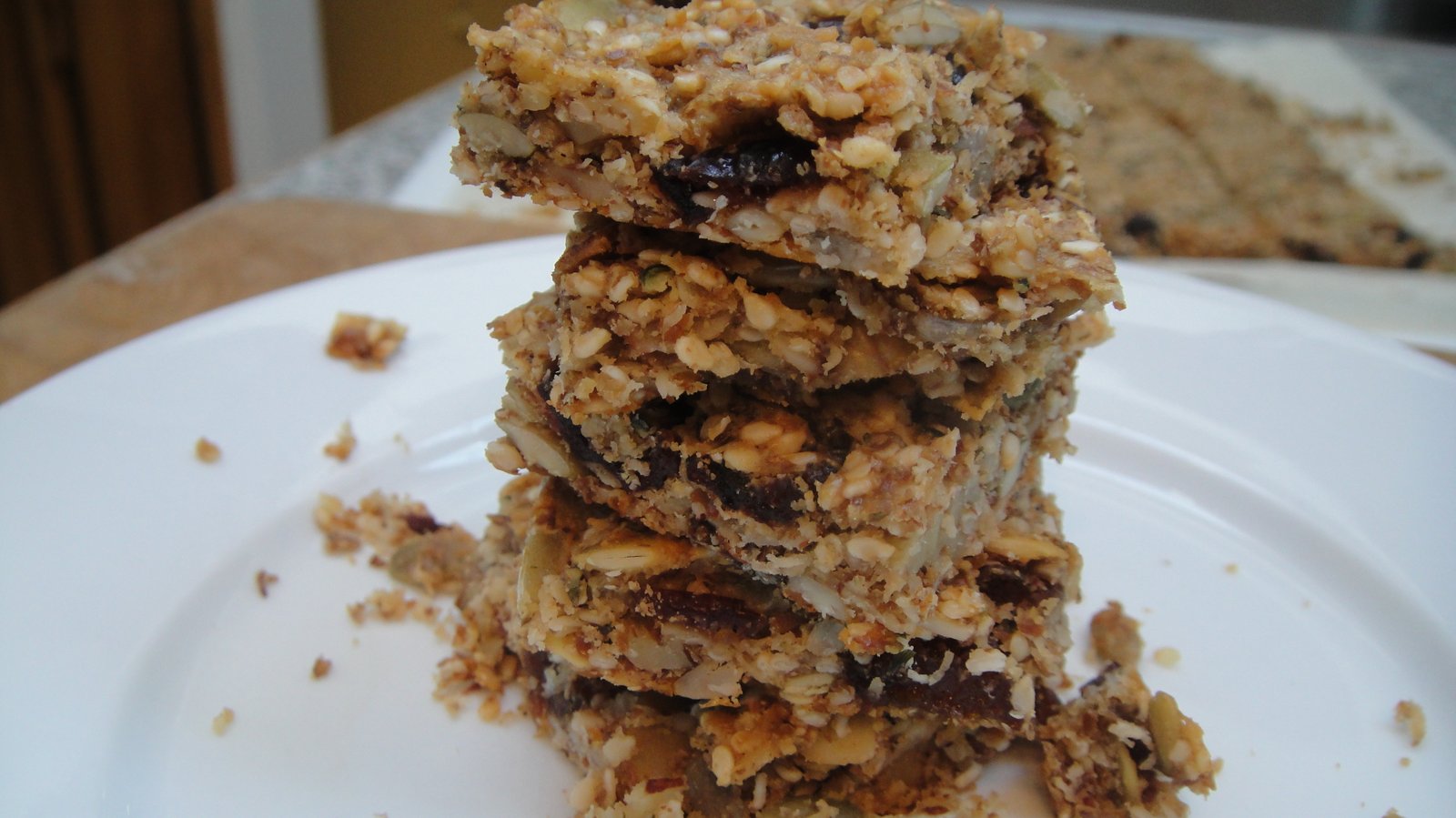 Recipe #92 | Paleo Lemon Cranberry Granola Bar