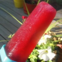 Recipe #96 | Raspberry Tea Popsicle